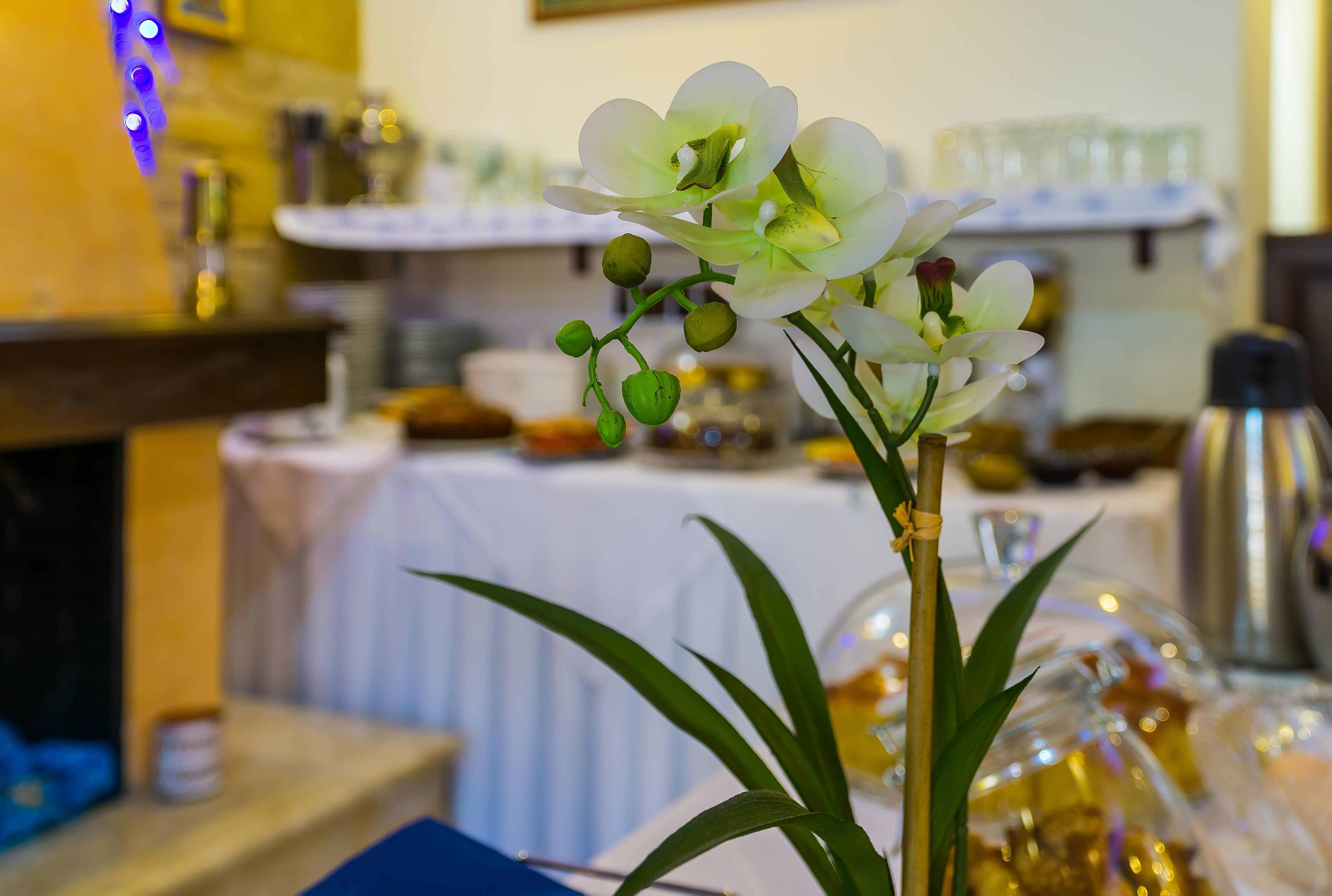 "Epavlis Boutique Galaxidi" Hotel Eksteriør billede